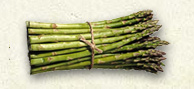 Asparagus