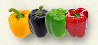 Bell Peppers