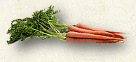 Carrots