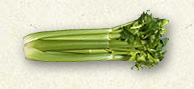 Celery