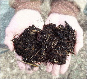 Compost