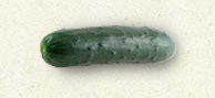 Cucumber