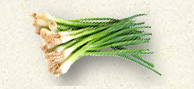 Green Onions