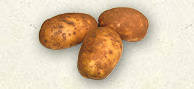 Potato