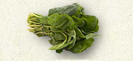 Spinach