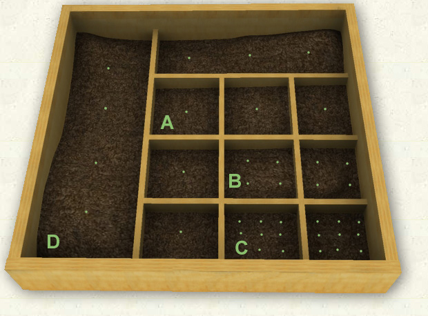 Square Foot Garden Layout