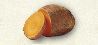 Sweet Potato